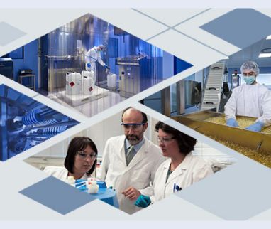 IBSA 